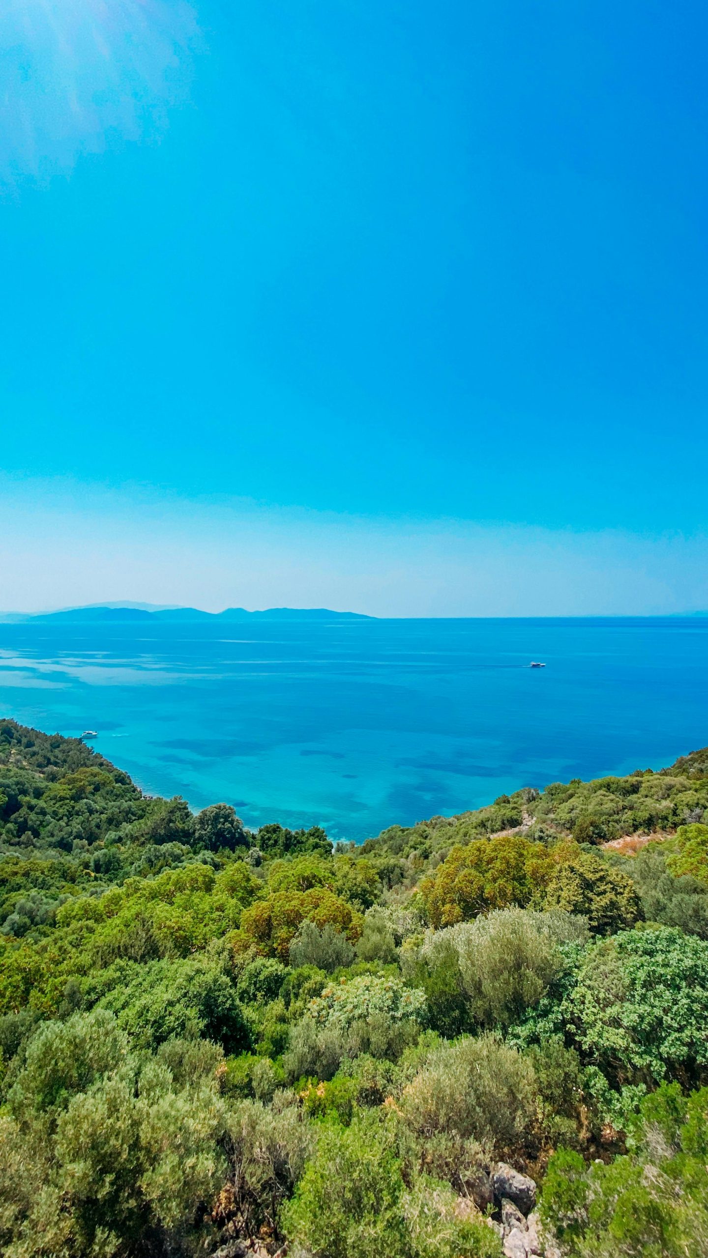 A breathtaking top view of a lush green coastline meeting a vibrant blue sea under clear skies.